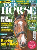 Your Horse